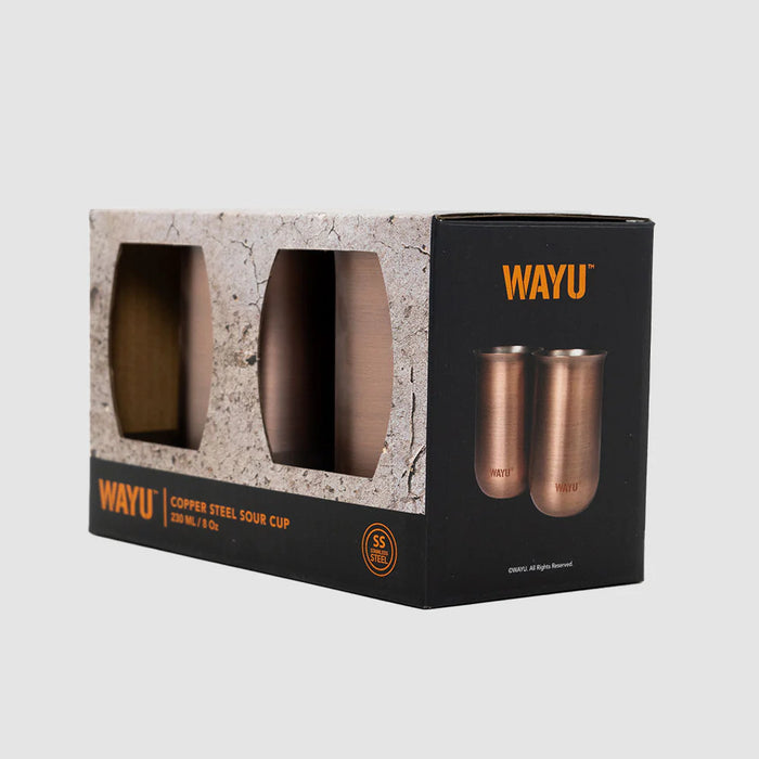Set de 2 vasos aperitivo copper line Wayu
