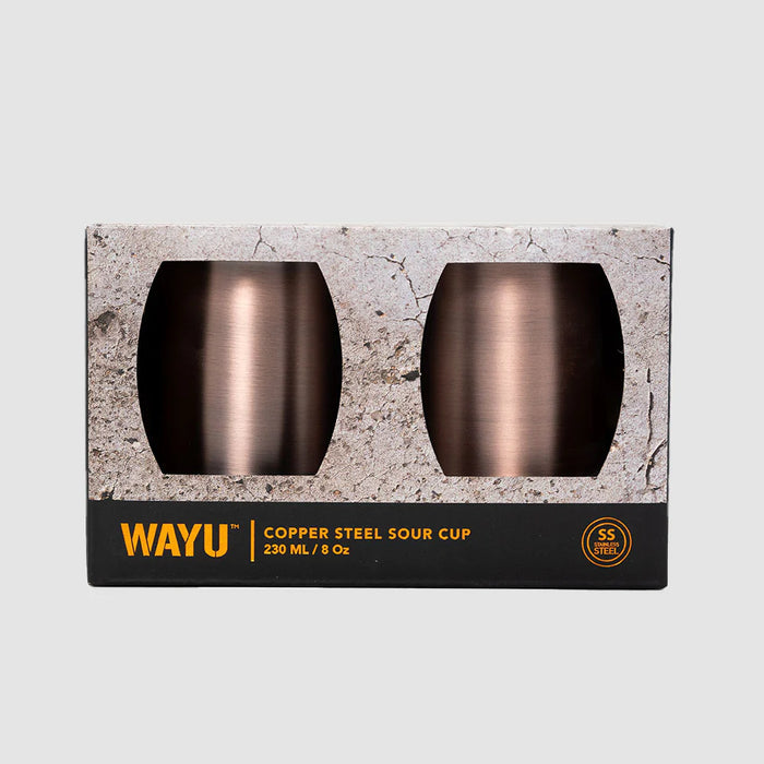 Set de 2 vasos aperitivo copper line Wayu