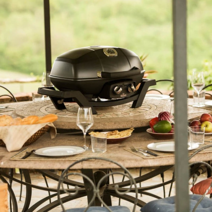 Parrilla a gas TravelQ PRO 285X